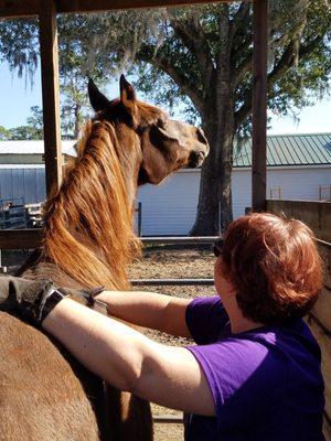 Demmi getting a good scratch!