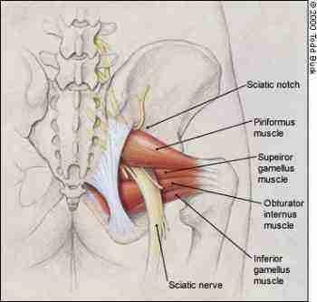 Sciatica, carpal tunnel, nerve impingements are readily corrected with Rolfing without tedious exercises, or frequent treatments.