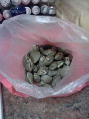 Over 4 pounds of plump, beautiful clams, only $17