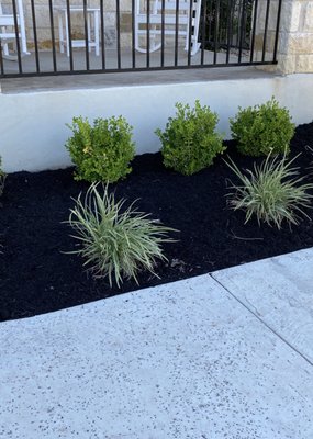 Mulch Installation