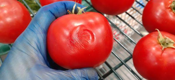 Bad splicer tomatoes that are going back on the shelf, per Goodeggs bottom line.