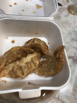 Fried Chicken Dumpling