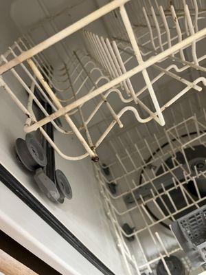 Disgusting non working dishwasher.