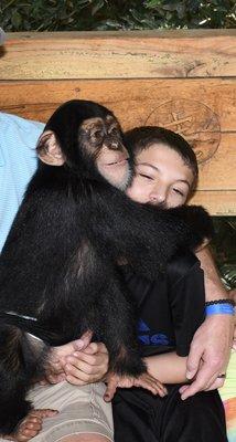 This monkey loved him LOL