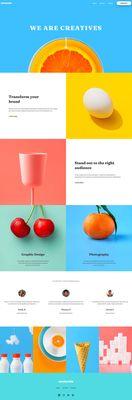 Agency Website Design by Zorka Web