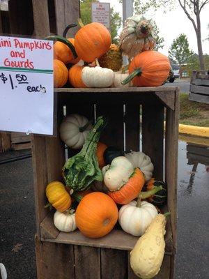 Lorton Farmers Market