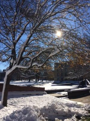 Outside of the library after first snowfall
 Photo by: June Mallory