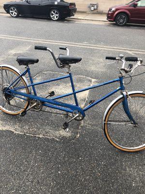 Schwinn Twin Deluxe restoration.