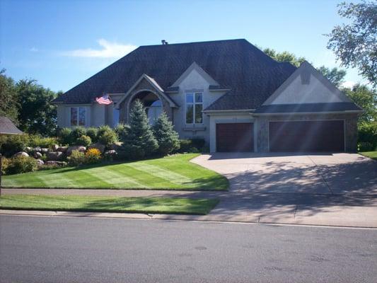 Weekly Mowing with Organic Fertilization