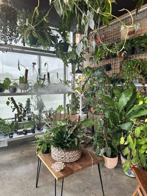 The Potting Bench