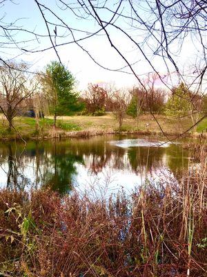 Glenn Dale Lake a half hour before dusk!!!