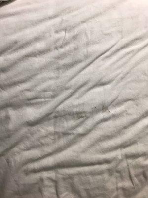 Dirty sheets