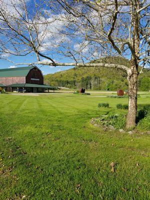 View from the wrap around porch