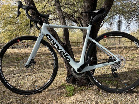 Cervelo Caledonia from Tucson Endurance.