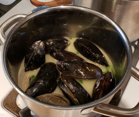 Mussels and Clams