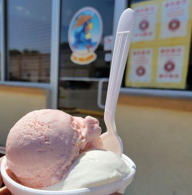 Guava and tequila ice cream .