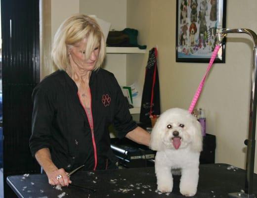 pet grooming services, affordable pet grooming, pet grooming near me, pet day camp, dog grooming phoenix, pet wash near me, pet sitting