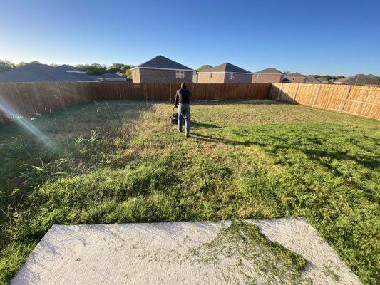 A backyard cleanup