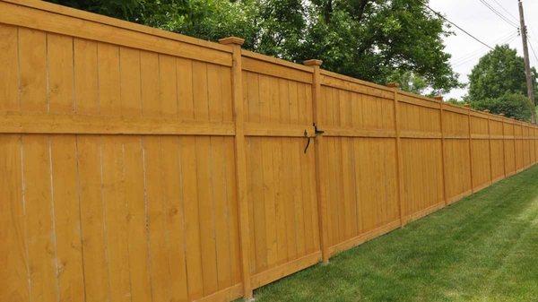 Fence and gates