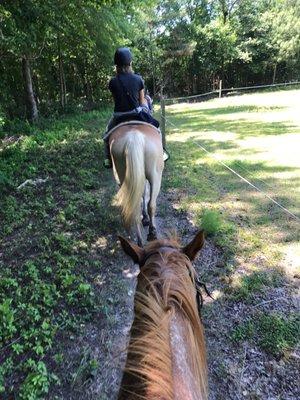 Peiffer Riding Stables