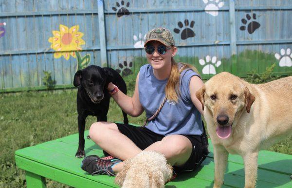 Our caretakers are trained in dog body language and off leash play. We have a ratio of 15 dogs to 1 caretaker in daycare and group play!