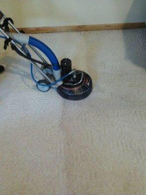 UW Stevens Point Apartment Carpet Cleaning