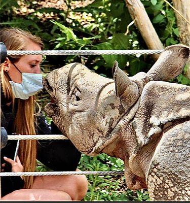 Dr Jacokes's zookeeper daughter, Caitlin, with Joona the baby rhino