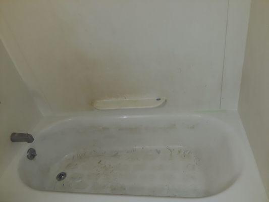 Tub Before Picture