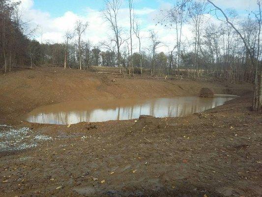 15ft deer pond created after logging