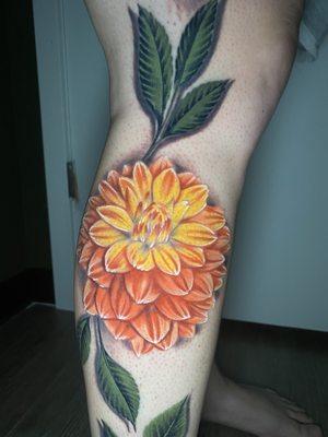 Healing Dahlia with leaves