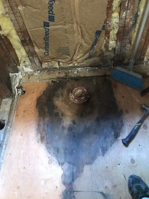 Stained/moldy subfloor