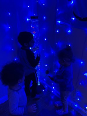 Our unique sensory room helps children explore and relax. It helps improve socializing, turn taking and language development.