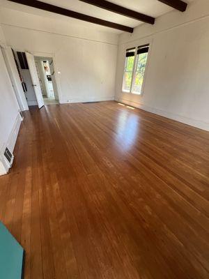 Our newly refinished fir floor!