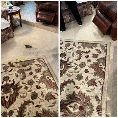 Area rug cleaning