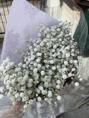 Baby's Breath