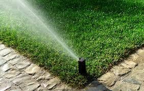 My new sprinkler system in the backyard.