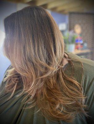 Women's cut with framing, layering, and a blowout!