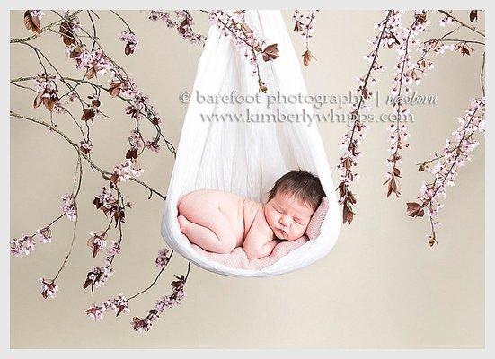 Unique newborn portraits