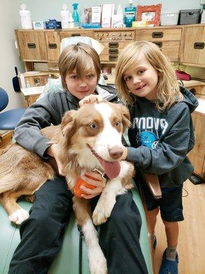 Pediatric Patients with our service dog Lassi.