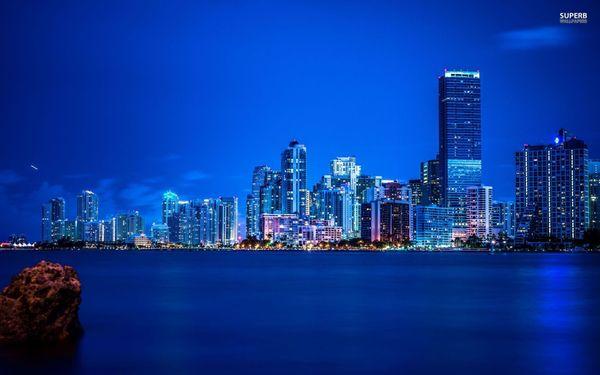 Amazing Views of the miami skyline