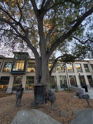 View behind the library