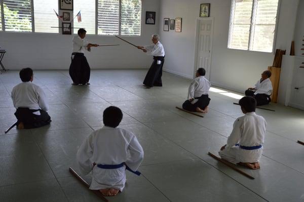 Kauai Aikido Seminar 2014