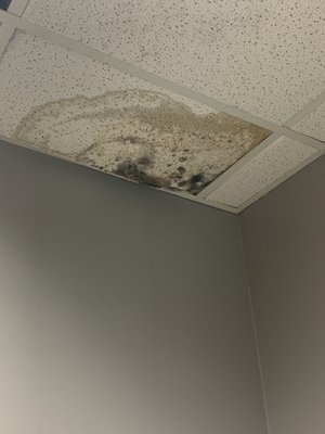 MOLD ON THE CELING IN THE BATHROOM⁉