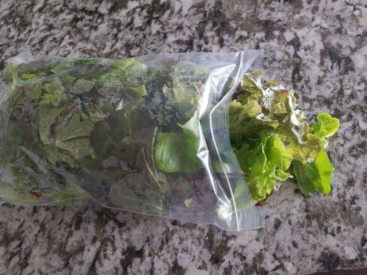 Bag of fresh, mixed greens. Minimal packaging is a great bonus.