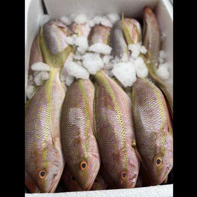 Miami Gardens Fish Market