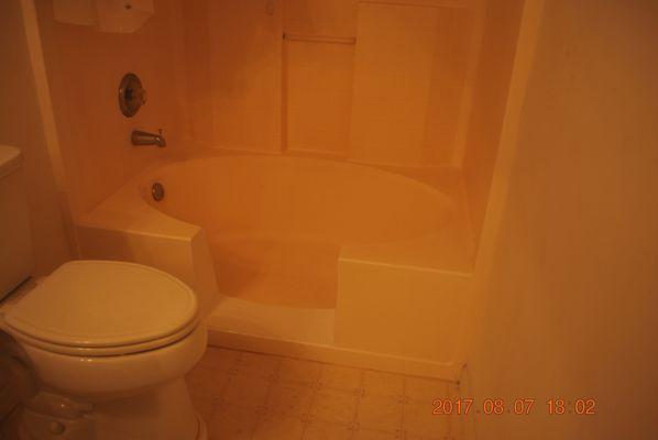 Custom Tub conversion to handicap shower