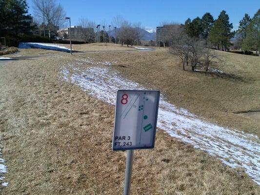 Short #8 Tee