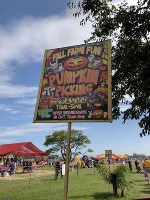 Green Meadows Farm and pumpkin patch  The worst pumpkin patch we've ever seen  Don't waste your time and money