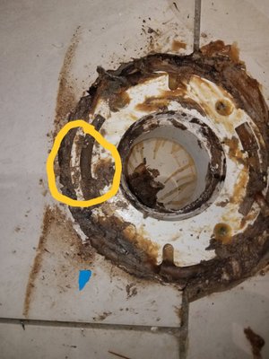 Broken Toilet Flange