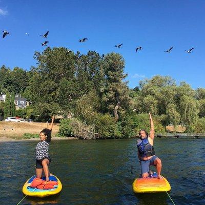 Two people practicing yoga on paddleboards with geese flying over them